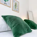 Rab Greeny Apartament *