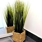 Rab Greeny Apartment *