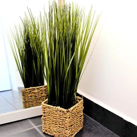 Rab Greeny Apartment *